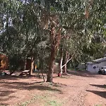 Du Soleil Appietto