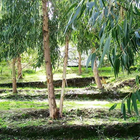 Du Soleil * Appietto