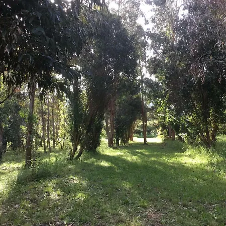 Du Soleil Campsite *