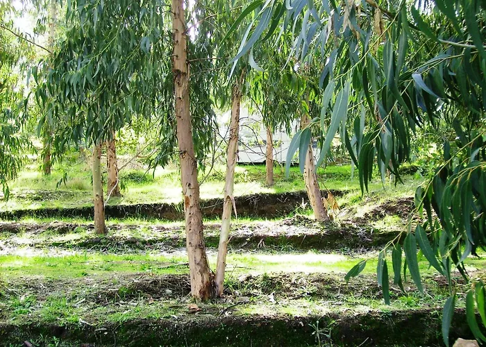 Du Soleil * Appietto