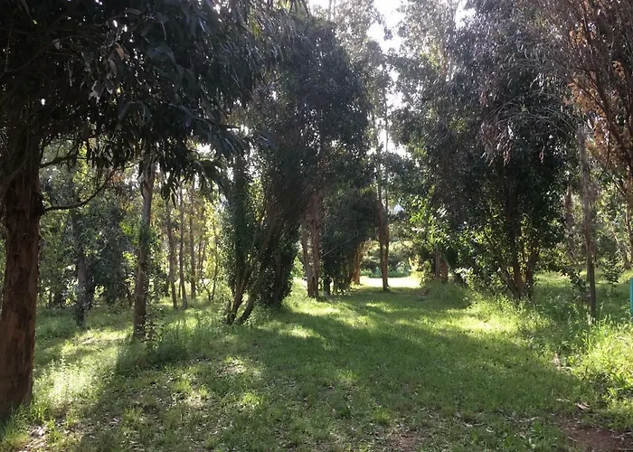 Du Soleil Campsite *